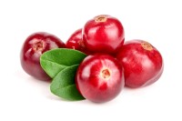 EXTRAKT Manufaktur_Cranberry Frucht