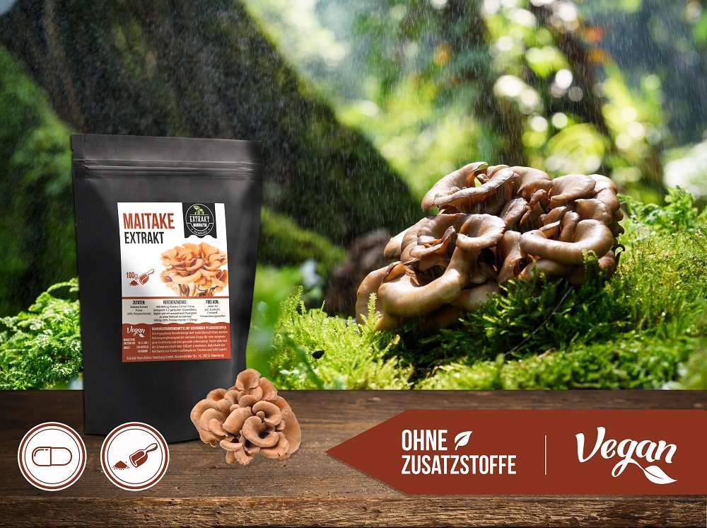 MAITAKE Pilz Extrakt│Kapseln & Pulver kaufen Extrakt Manufaktur